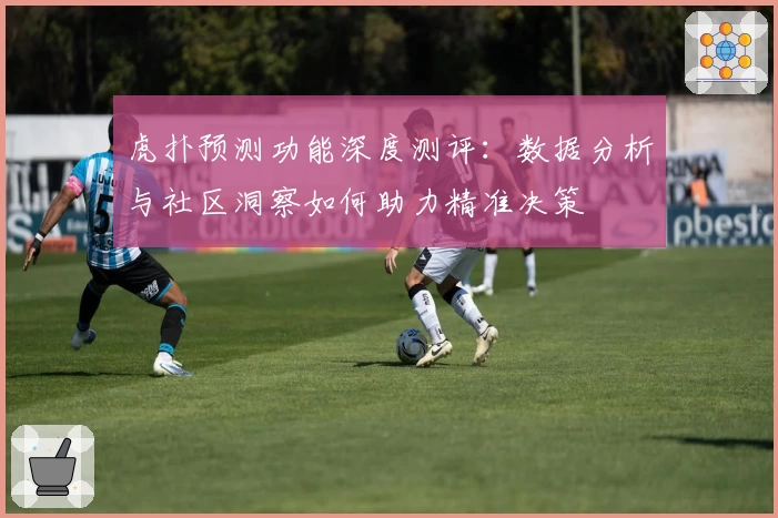 虎扑预测功能深度测评:数据分析与社区洞察如何助力精准决策