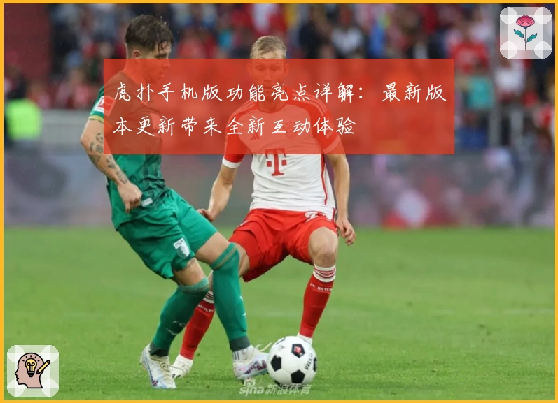 虎扑手机版功能亮点详解：最新版本更新带来全新互动体验